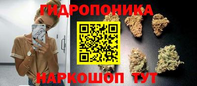 ПСИЛОЦИБИНОВЫЕ ГРИБЫ Берёзовский