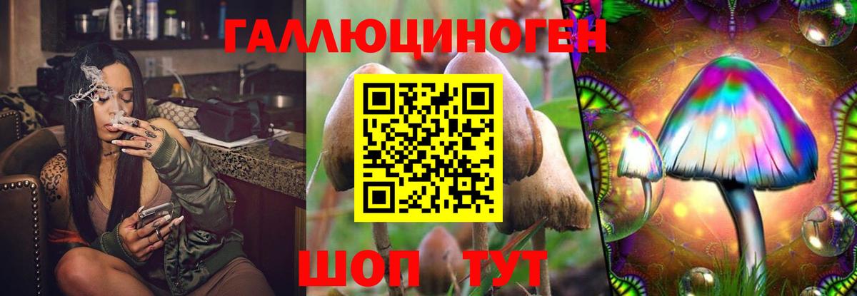 Галлюциногенные грибы Magic Shrooms Гагарин